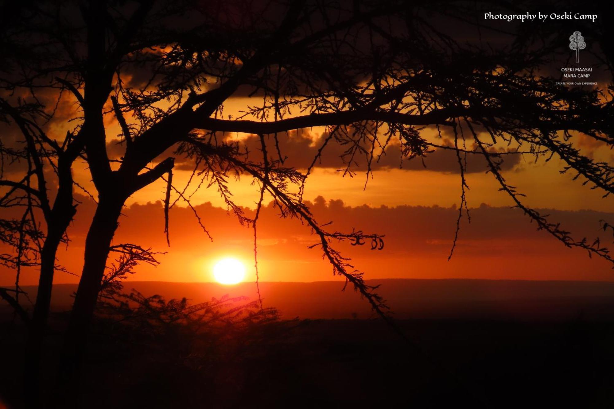Готель Oseki Maasai Mara Camp Narok Екстер'єр фото